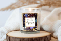 A Thousand Wishes Soy Candle 10 oz - Phenixology