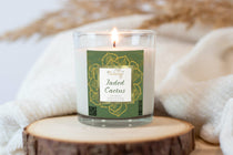 Jaded Cactus Soy Candle - Phenixology