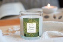 Jaded Cactus Soy Candle - Phenixology