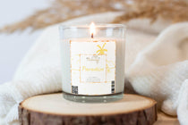 Paradise Soy Candle - Phenixology