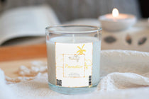 Paradise Soy Candle - Phenixology