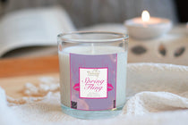 Spring Fling Soy Candle - Phenixology